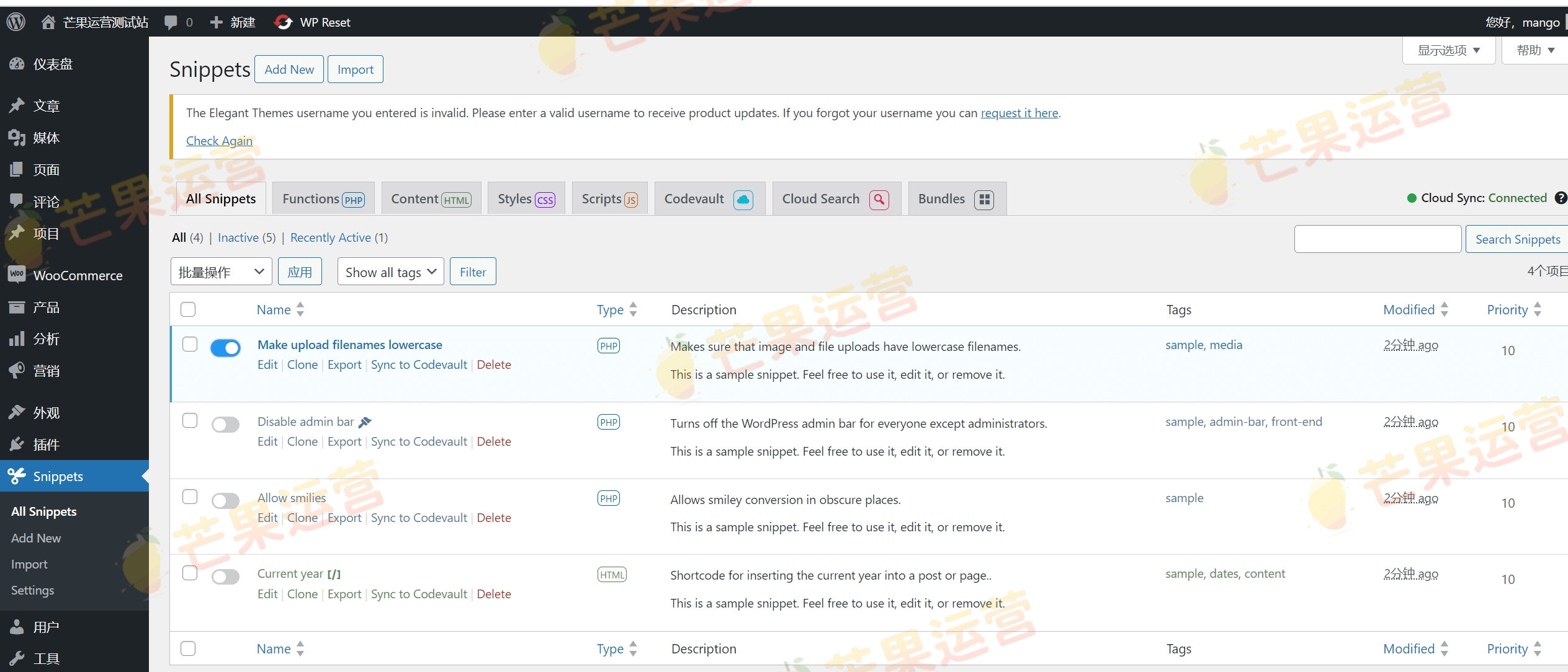 Code Snippets Pro 自定义代码或 CSS插件破解版下载